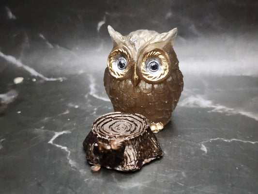 Wise Owl Dice Guardian